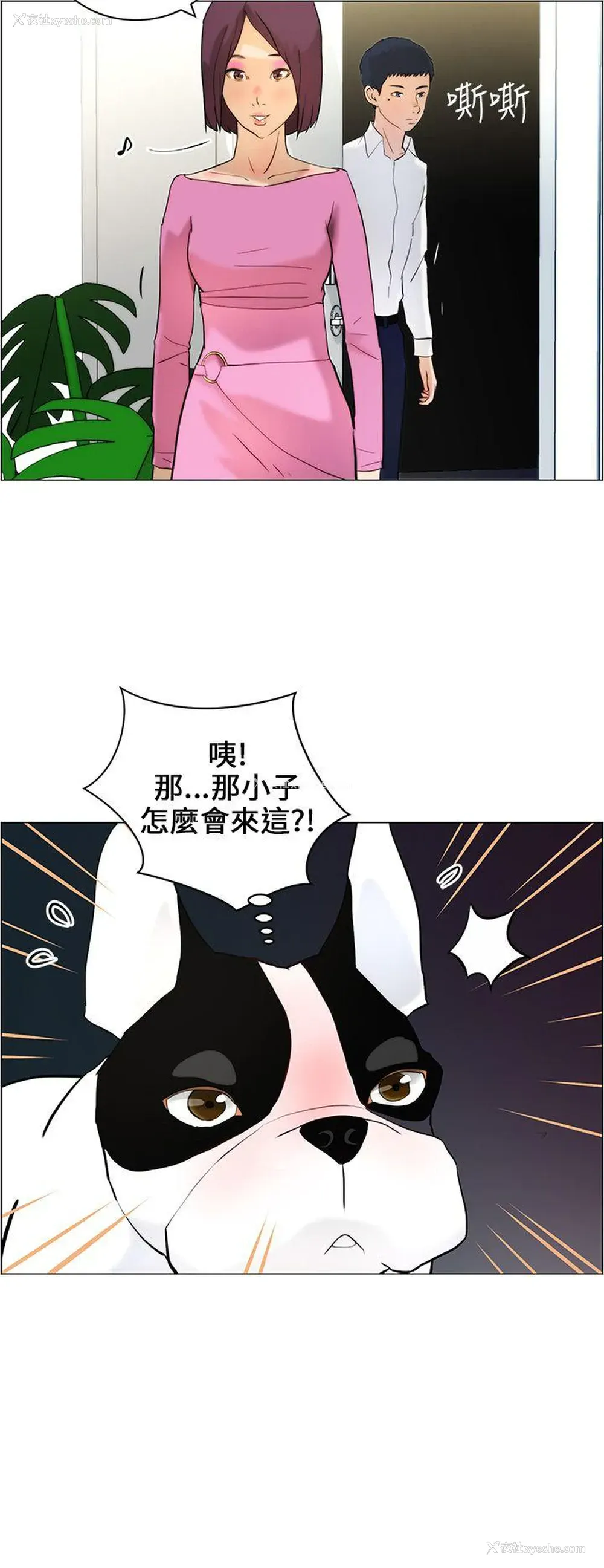 16P - 变成狗的男人