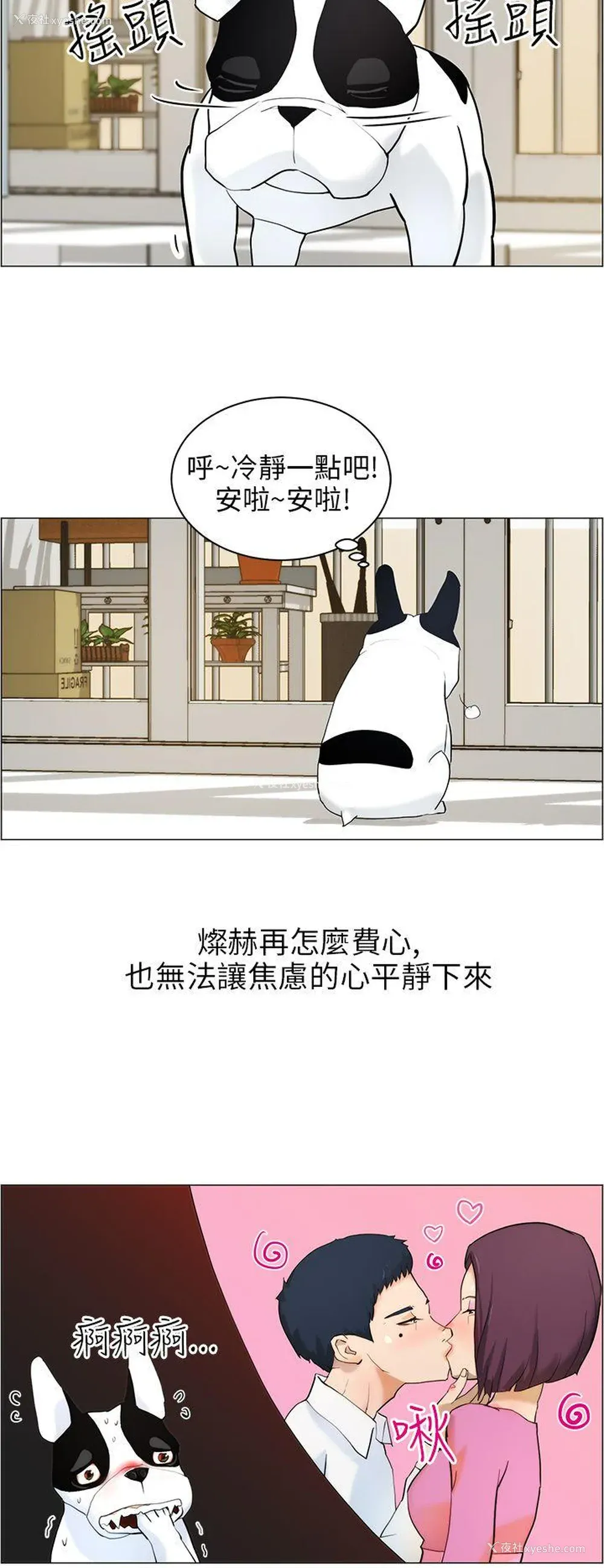 4P - 变成狗的男人