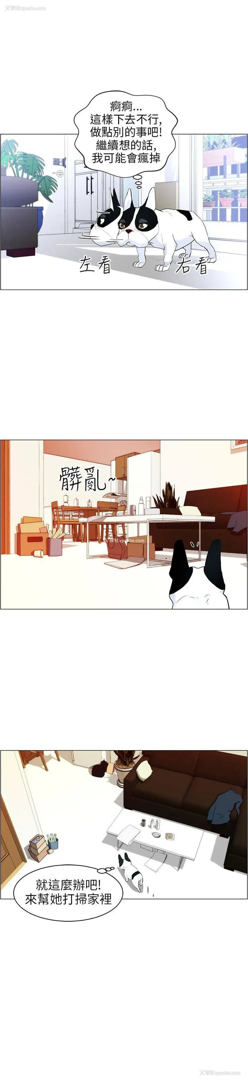5P - 变成狗的男人