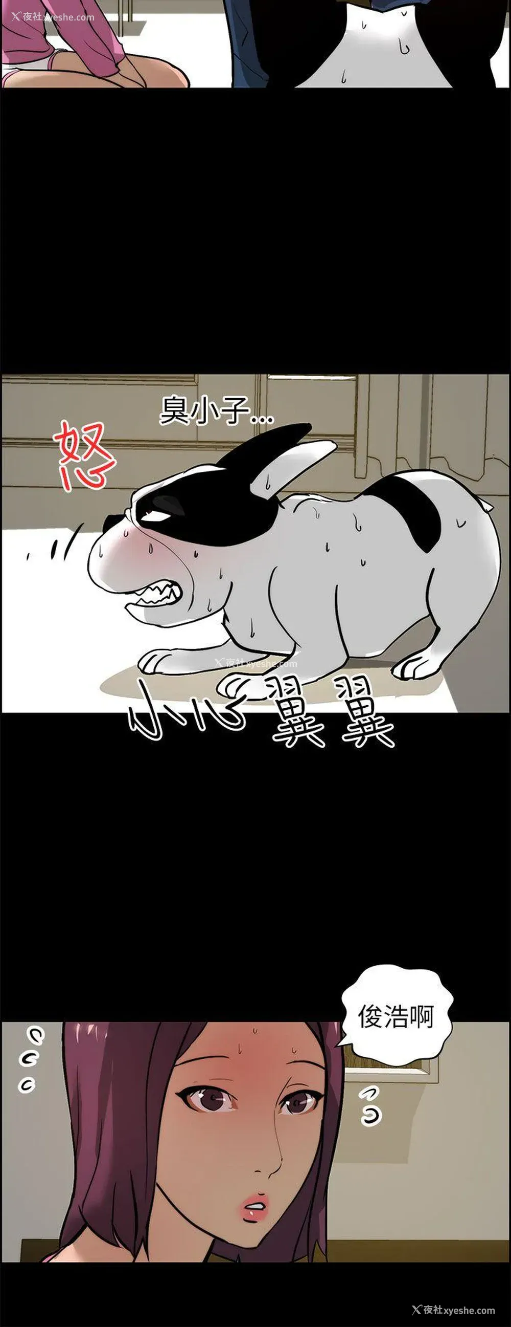 24P - 变成狗的男人