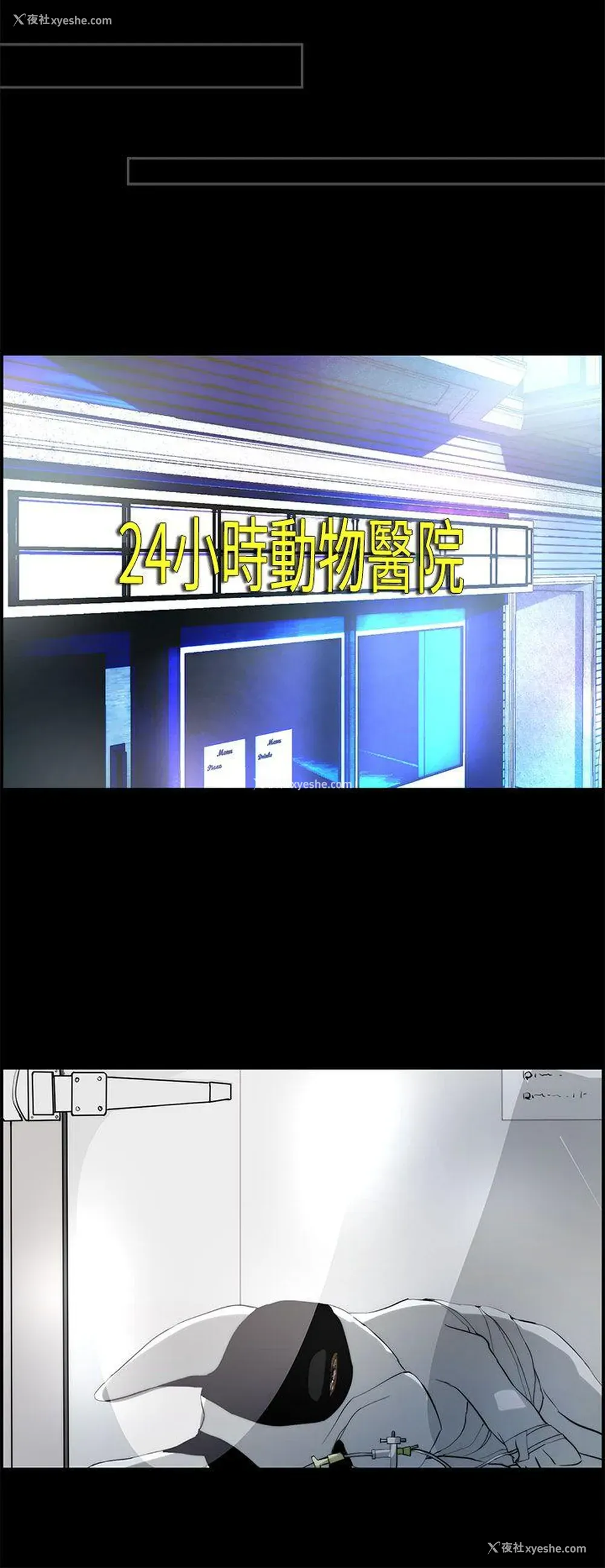 24P - 变成狗的男人