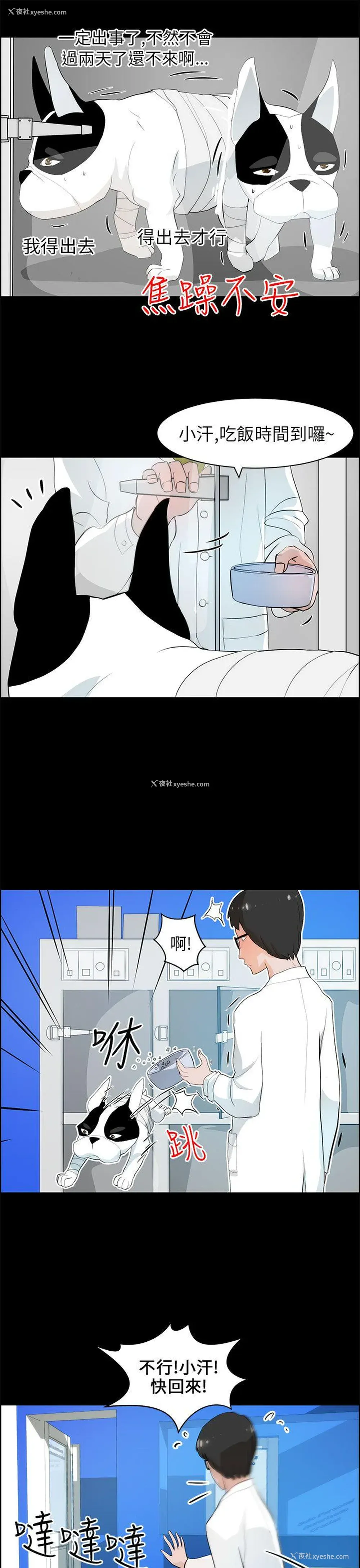 25P - 变成狗的男人