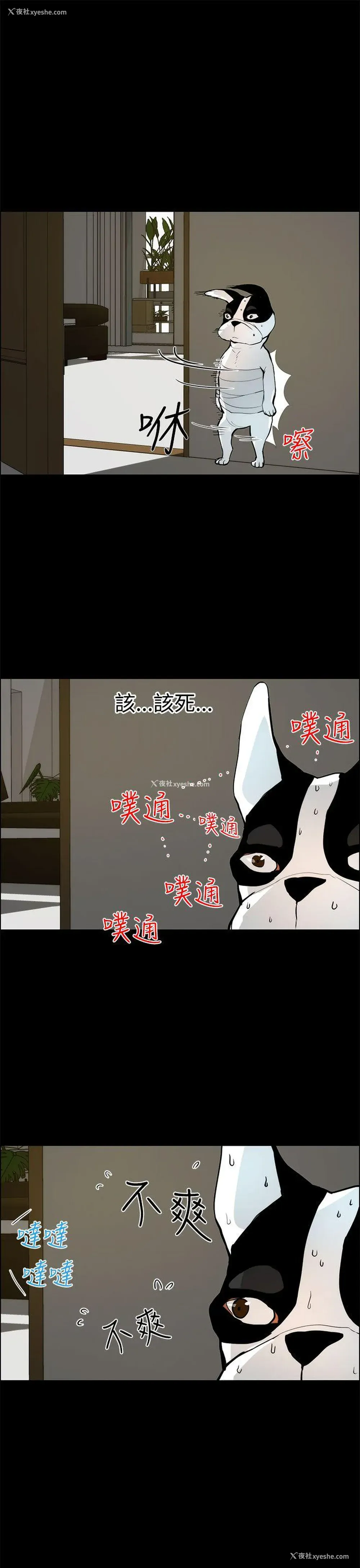 11P - 变成狗的男人