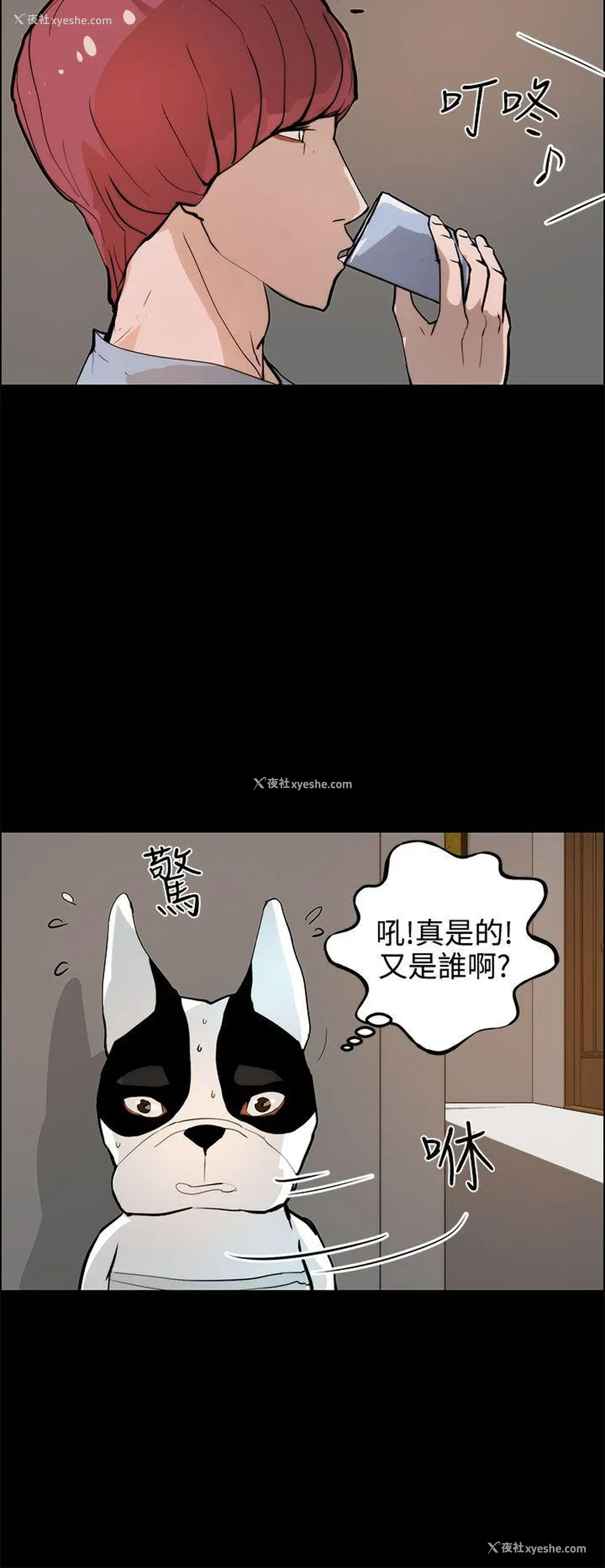 16P - 变成狗的男人