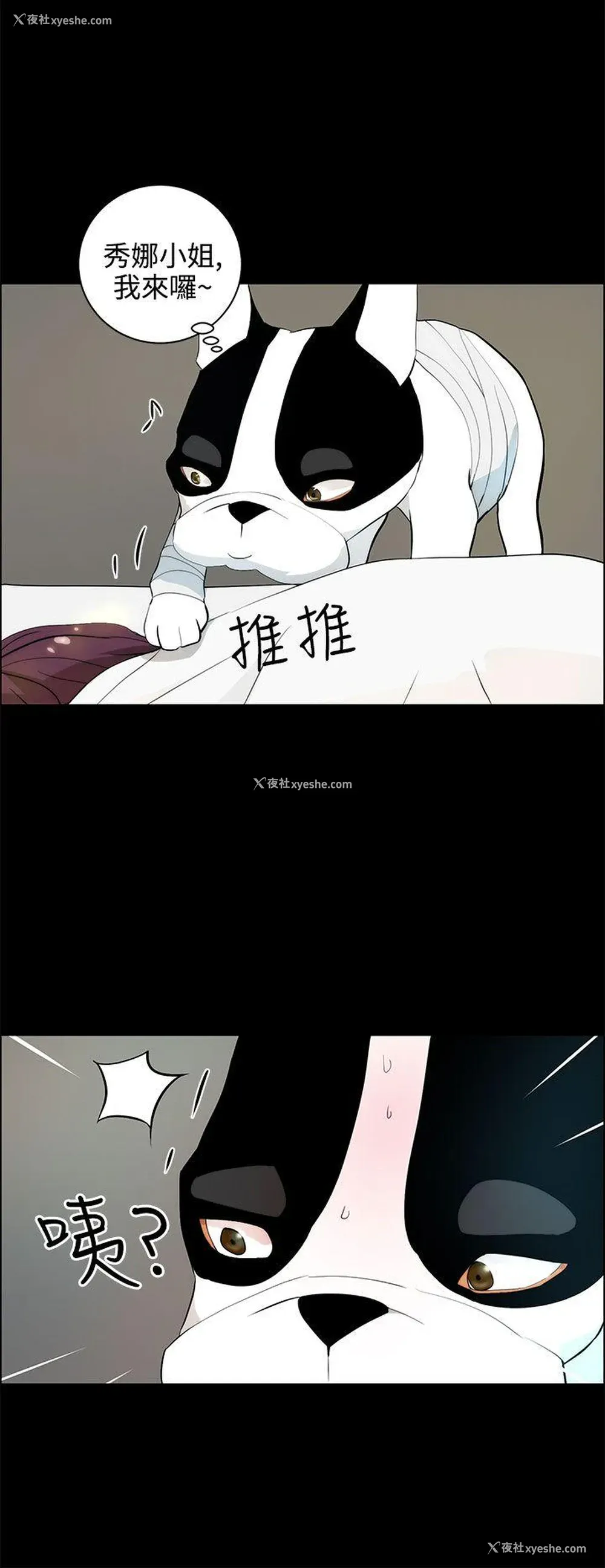 4P - 变成狗的男人