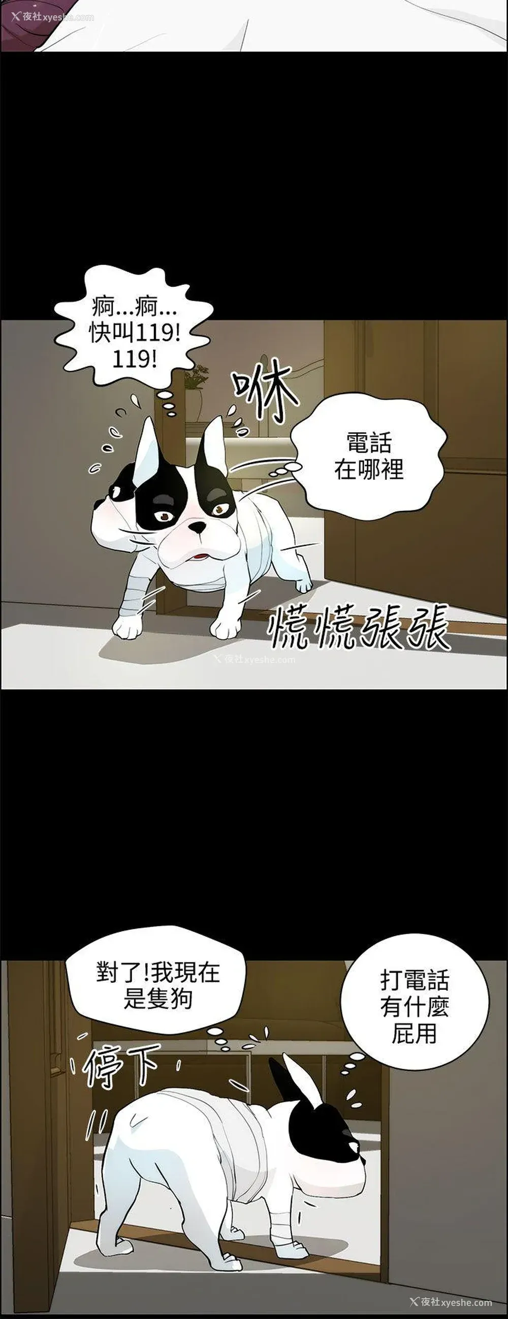 6P - 变成狗的男人