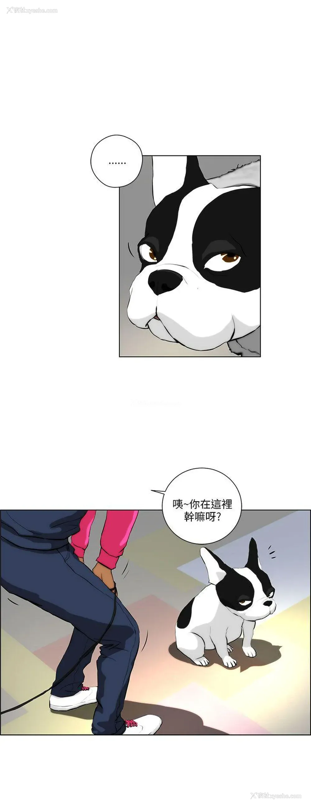16P - 变成狗的男人