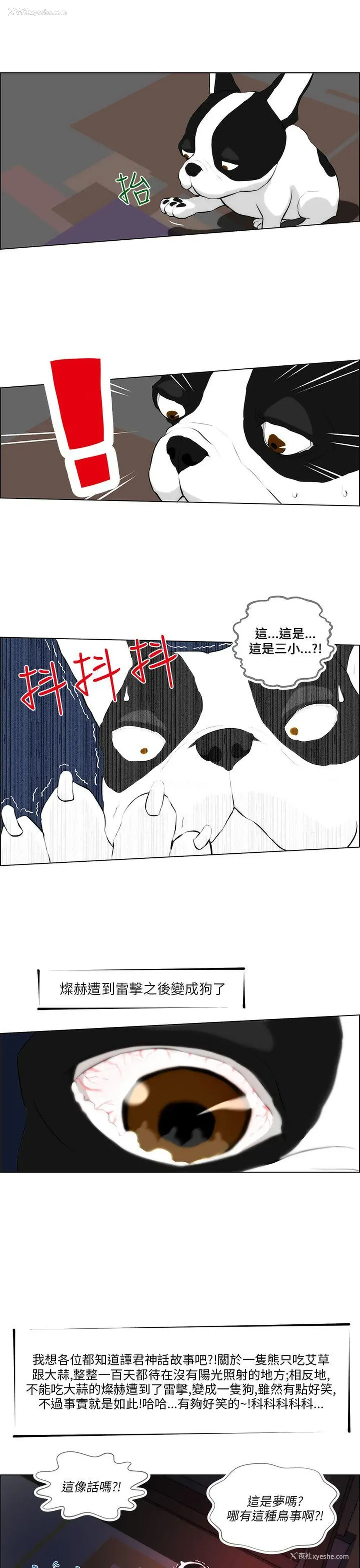 19P - 变成狗的男人
