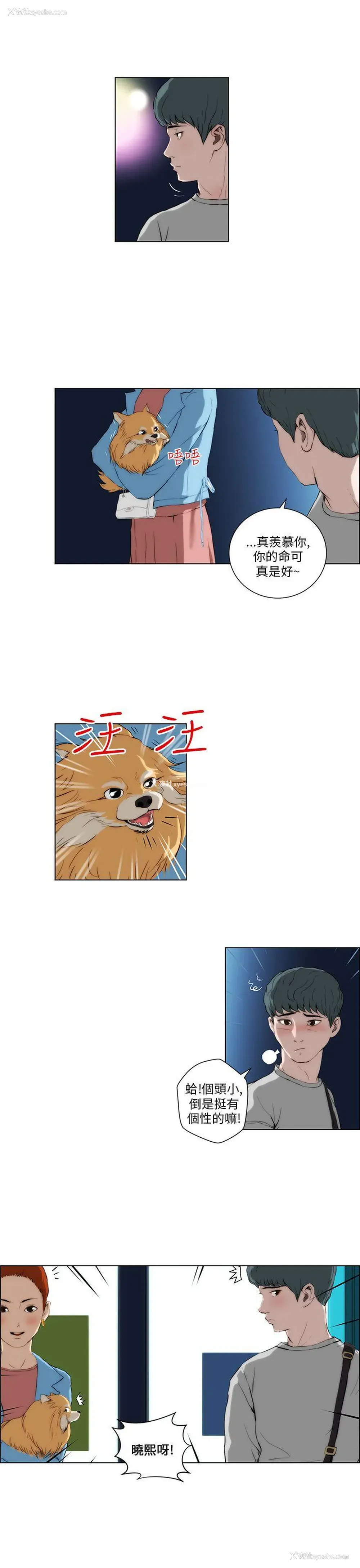 9P - 变成狗的男人