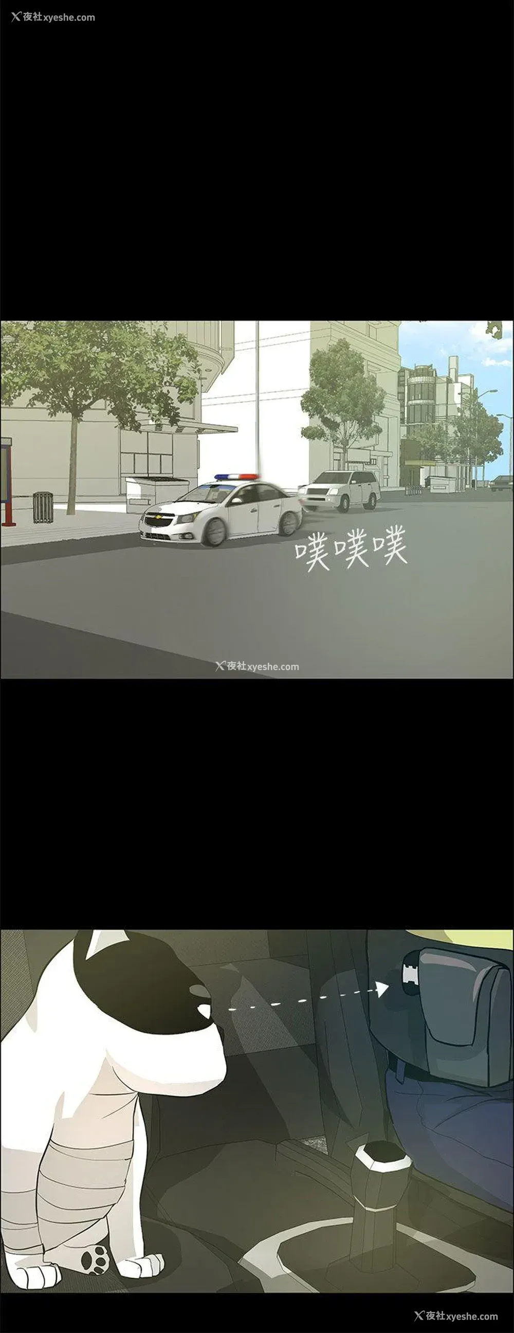 19P - 变成狗的男人