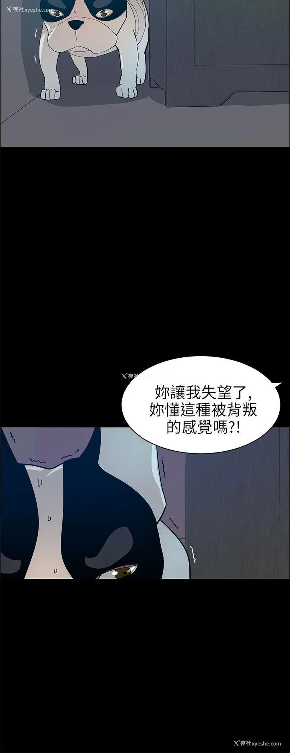 6P - 变成狗的男人
