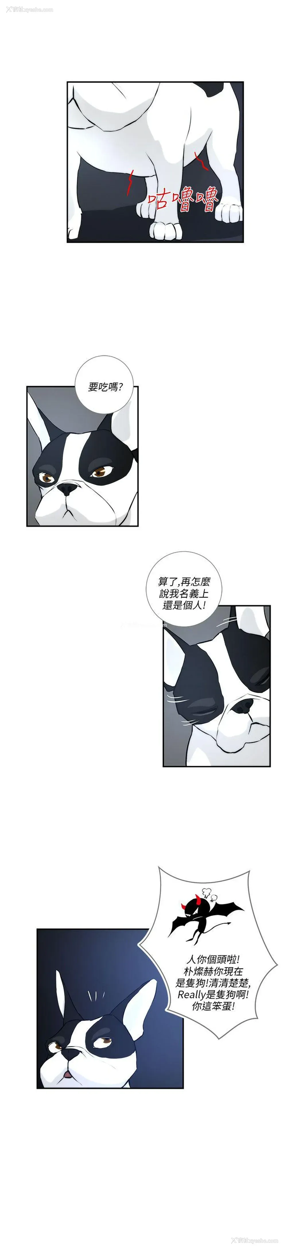 11P - 变成狗的男人