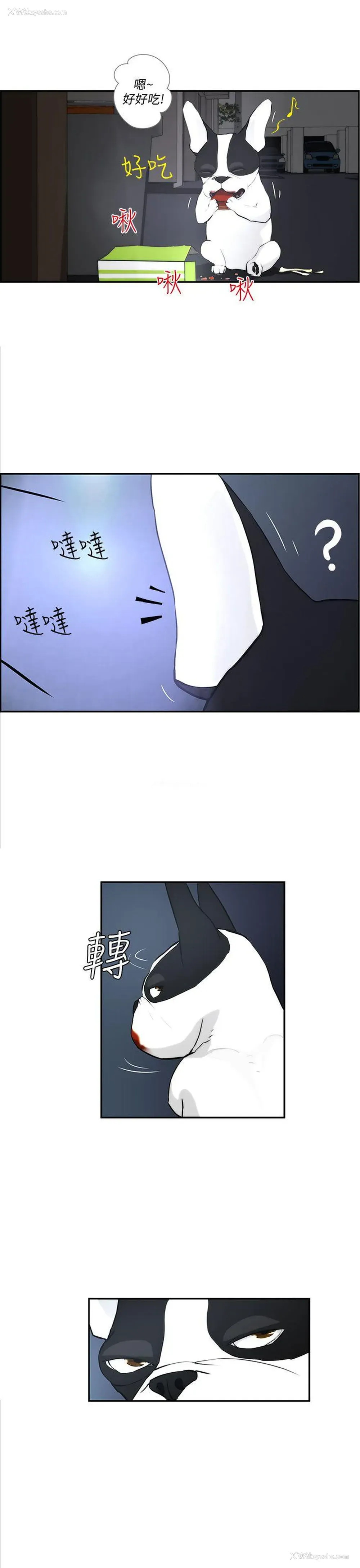 13P - 变成狗的男人