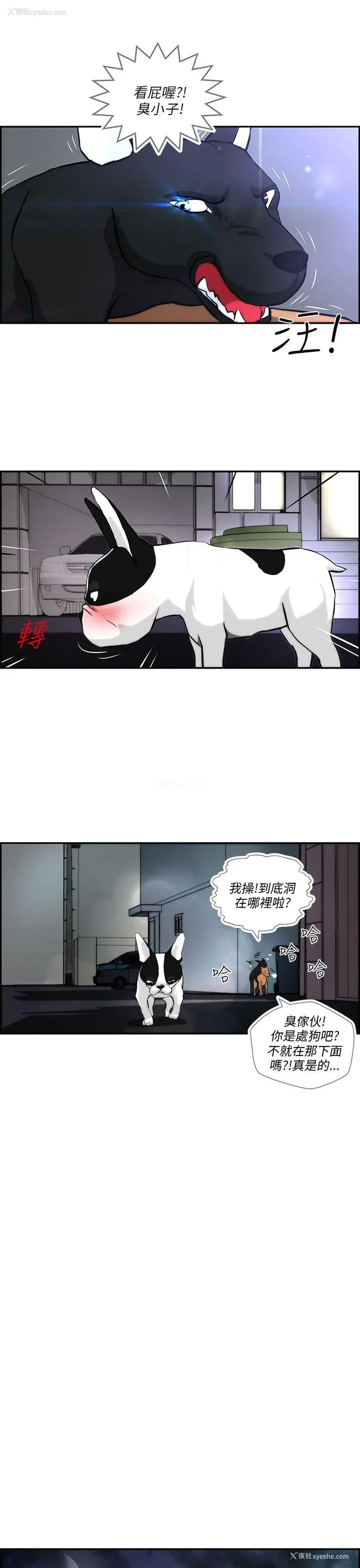 9P - 变成狗的男人