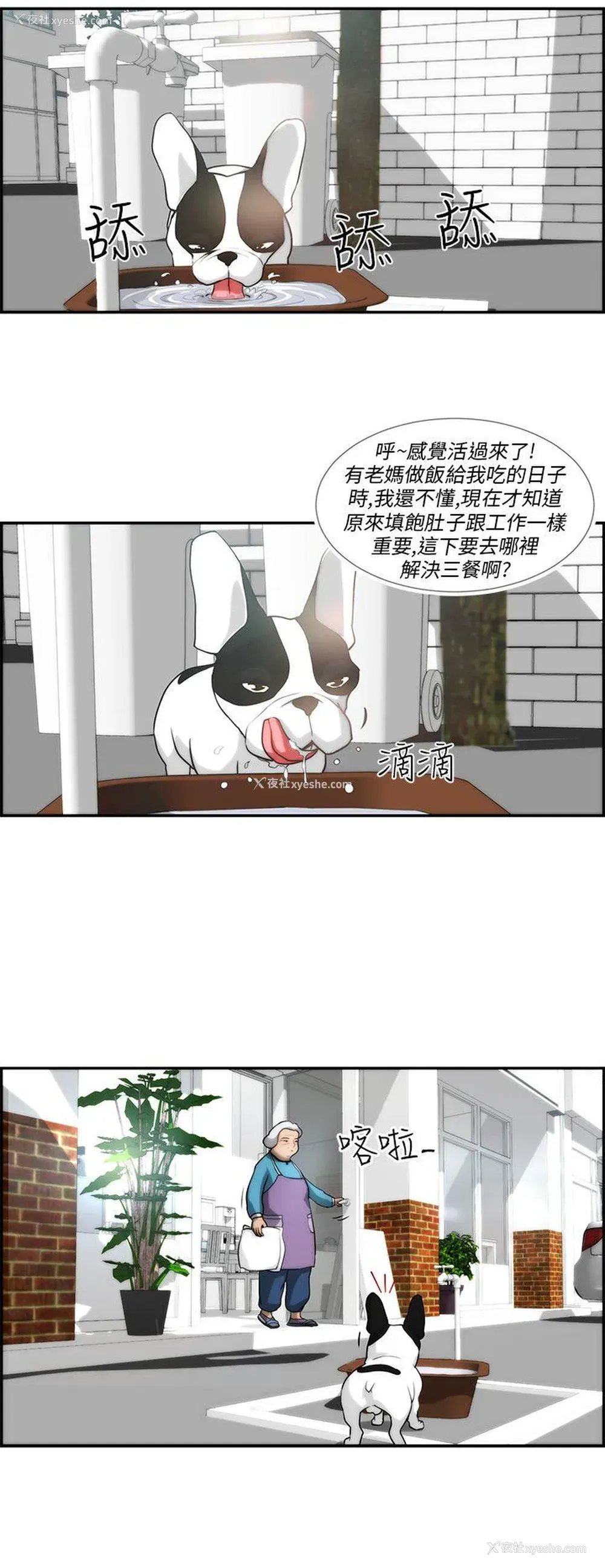 16P - 变成狗的男人