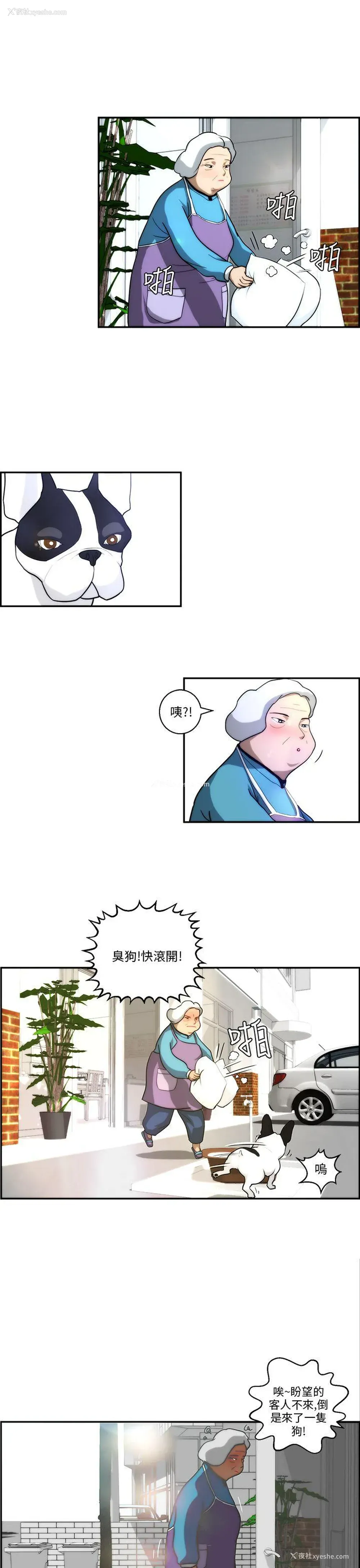 17P - 变成狗的男人