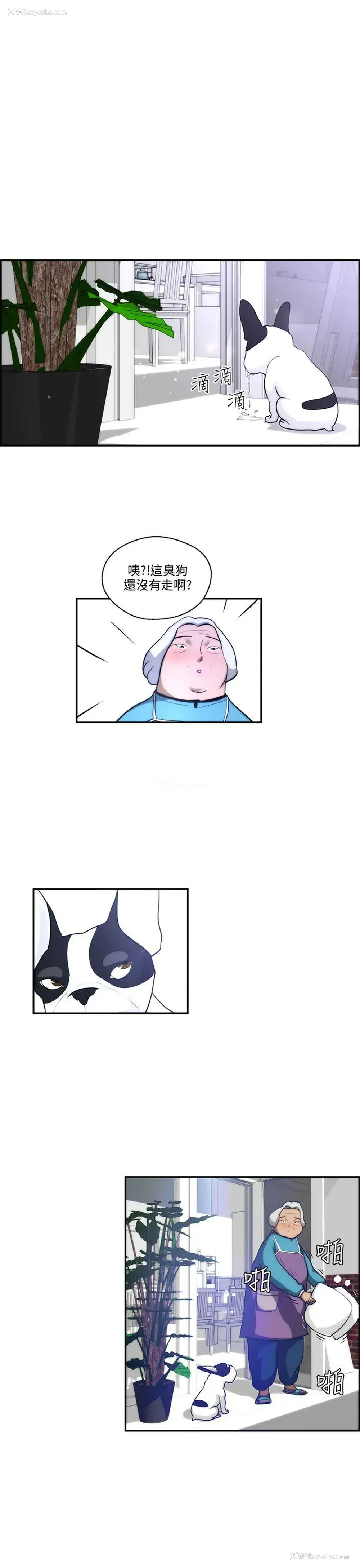 19P - 变成狗的男人