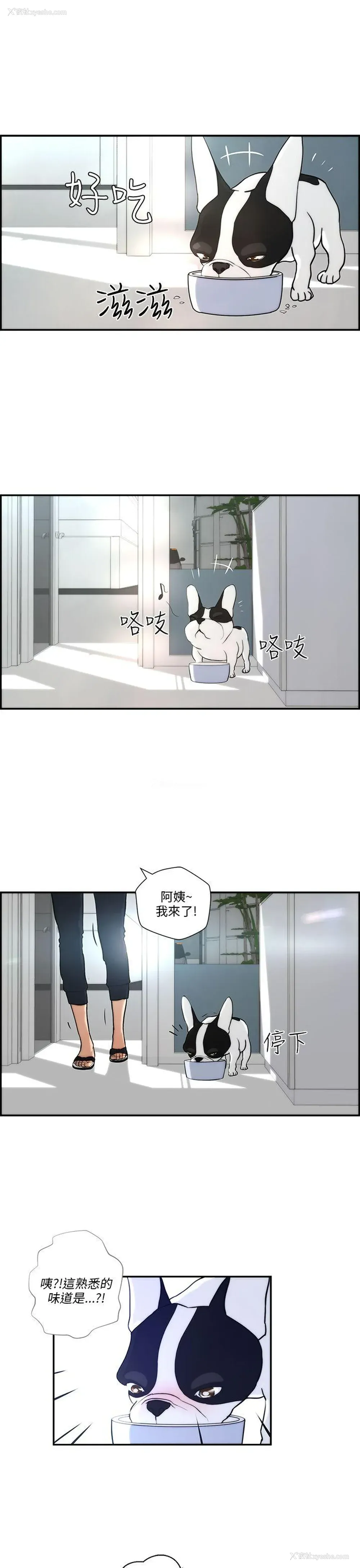 21P - 变成狗的男人