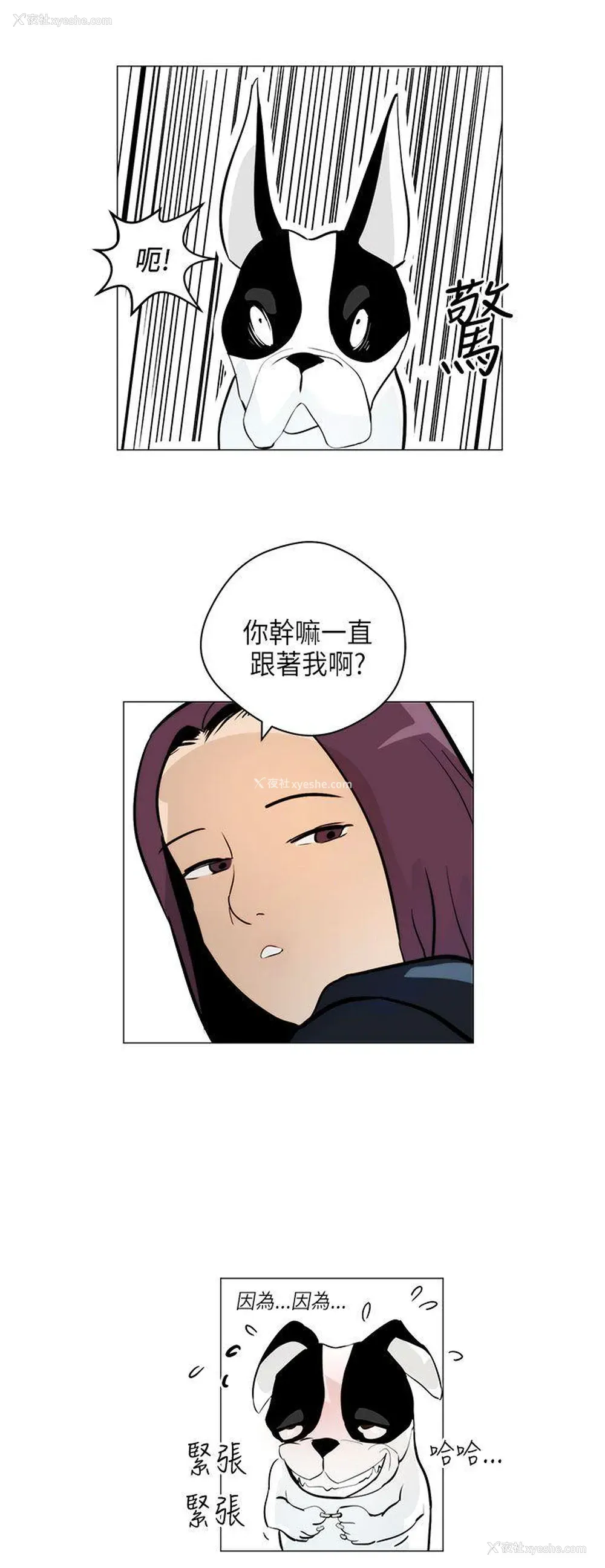 16P - 变成狗的男人