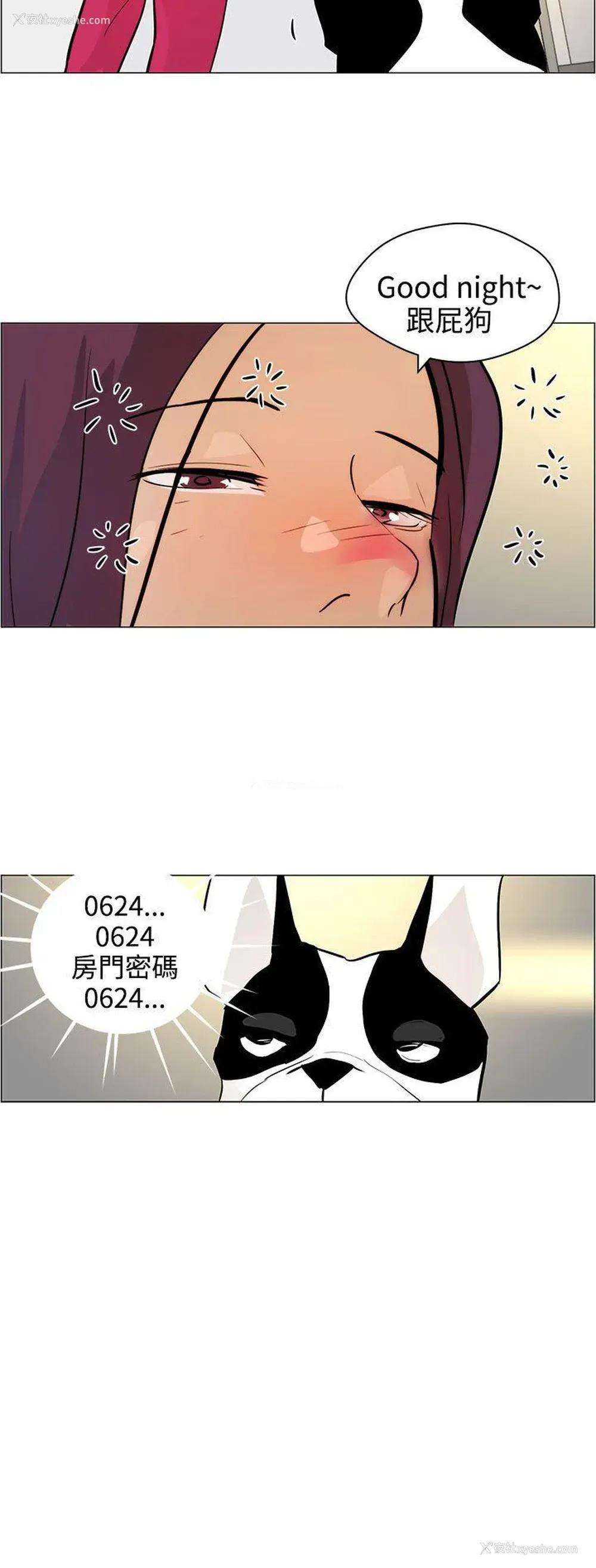 24P - 变成狗的男人