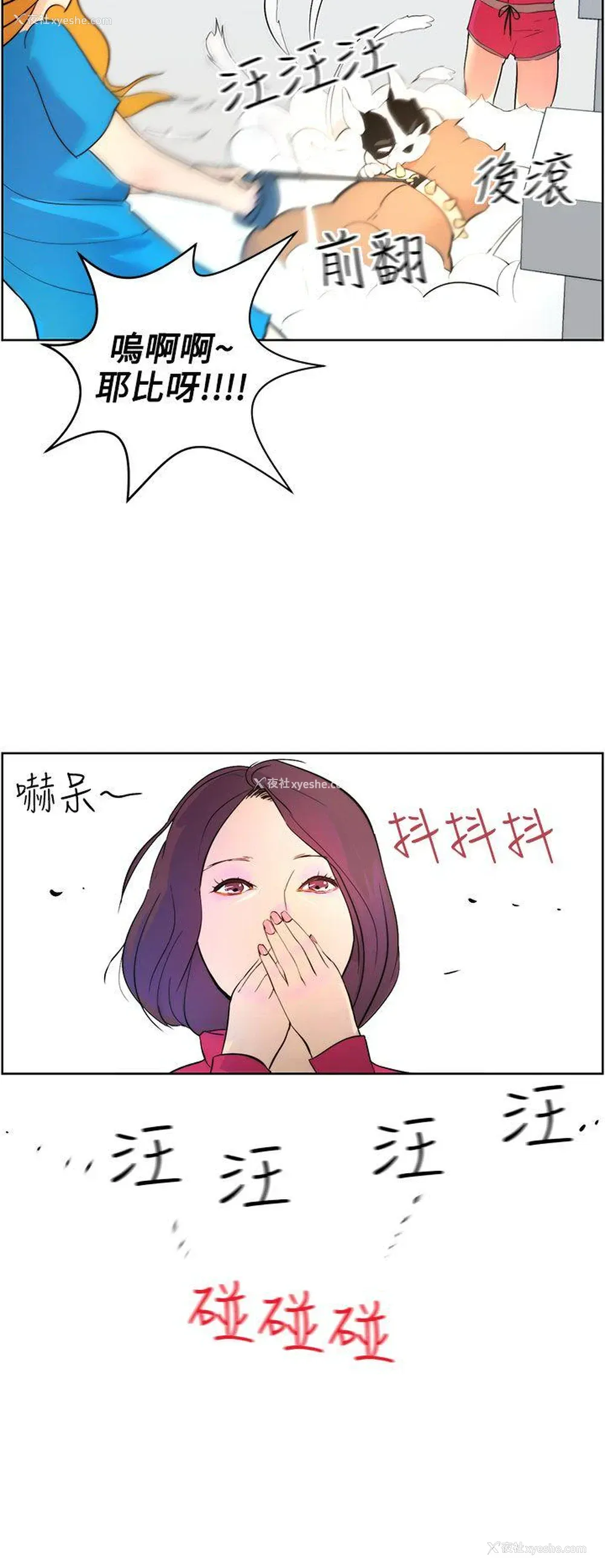 14P - 变成狗的男人