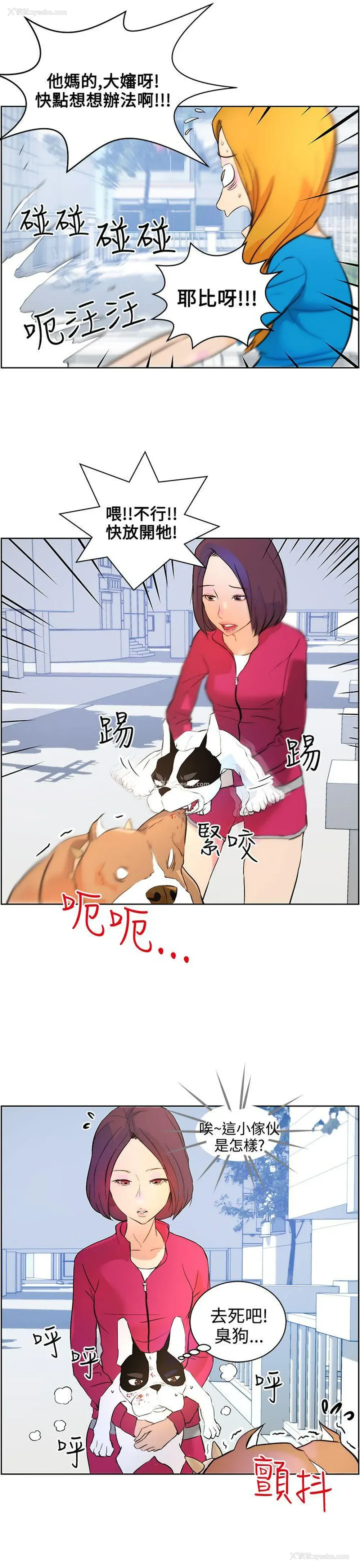 15P - 变成狗的男人