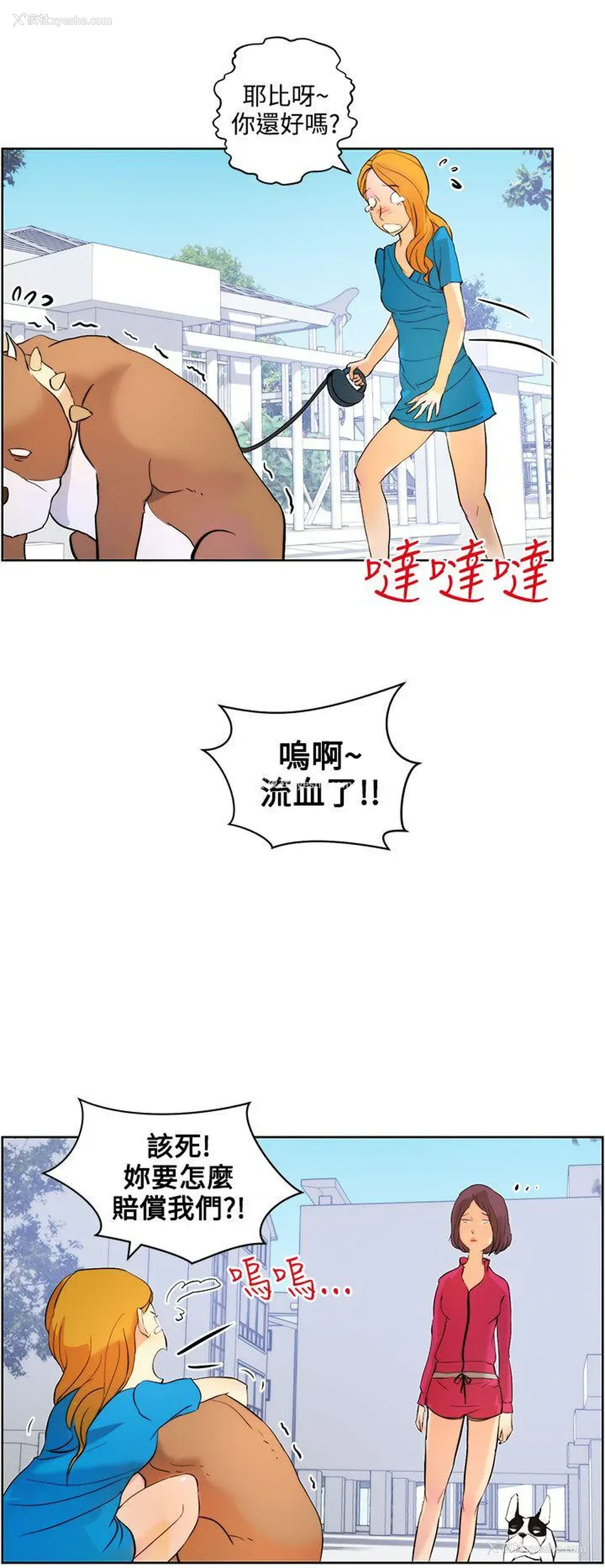 16P - 变成狗的男人