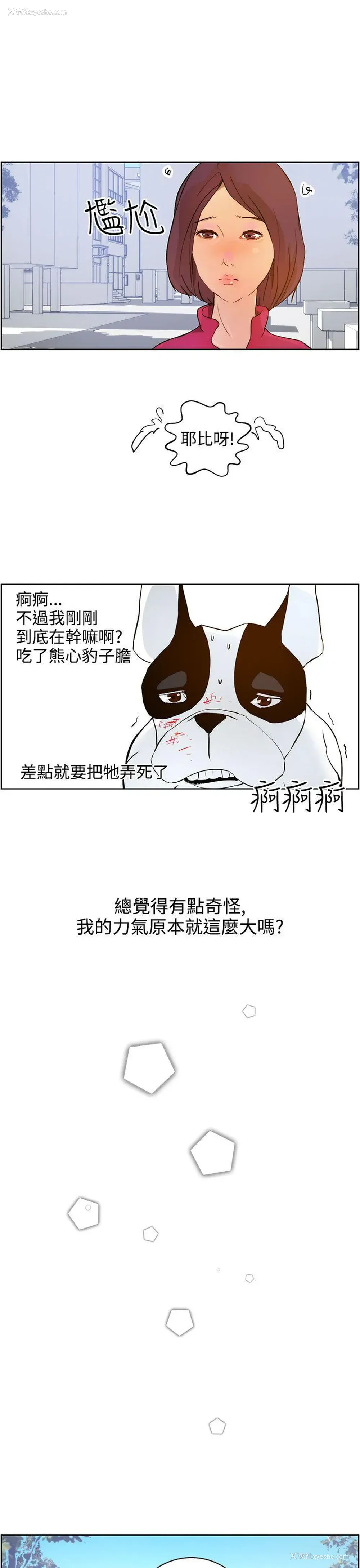 17P - 变成狗的男人