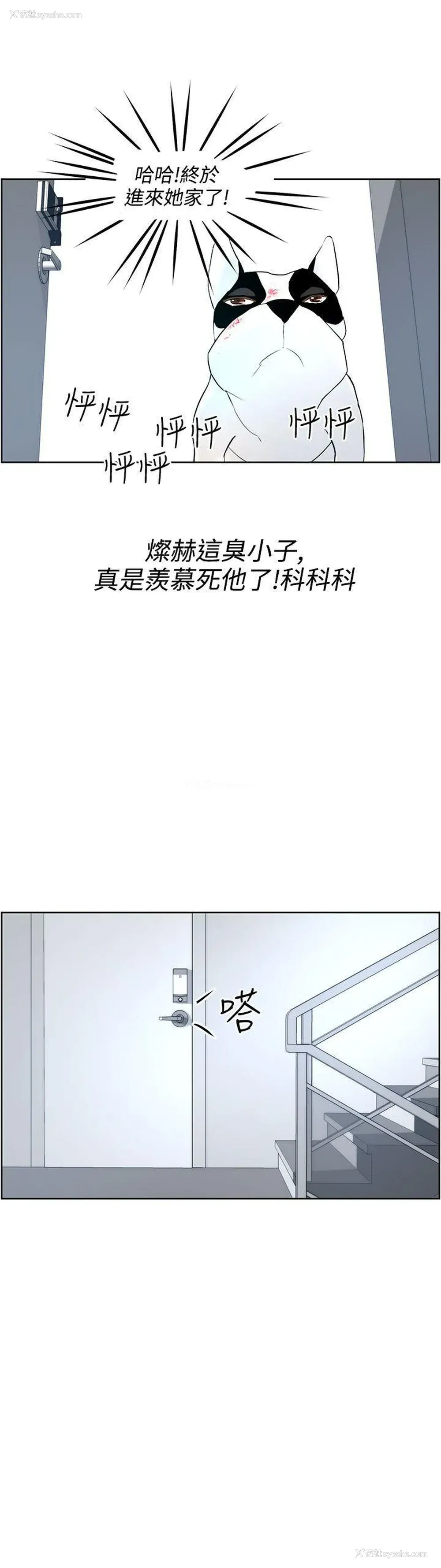 27P - 变成狗的男人