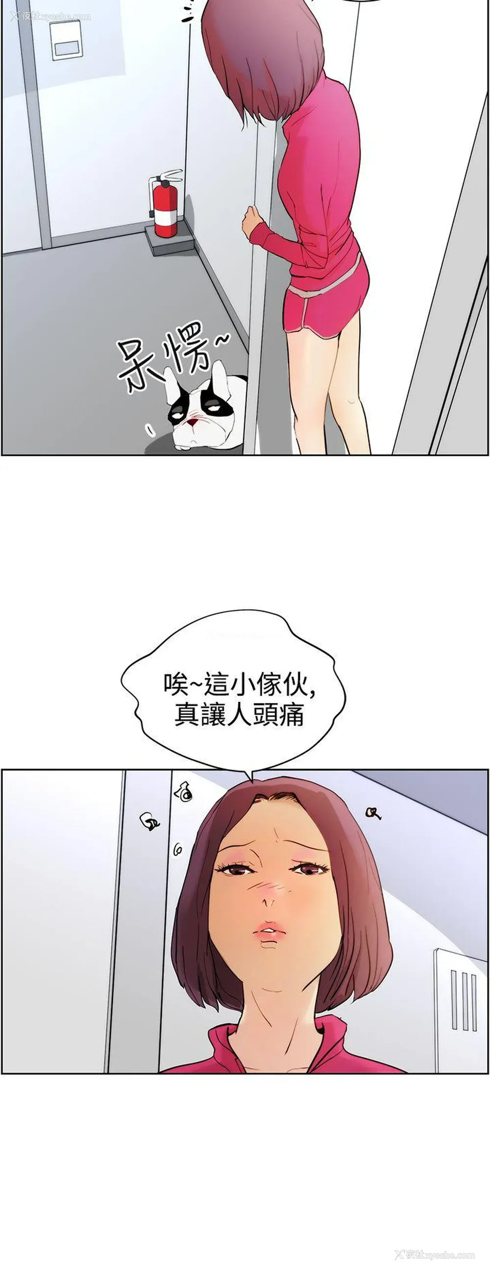 4P - 变成狗的男人