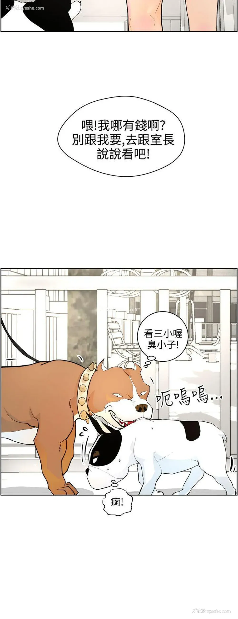 8P - 变成狗的男人