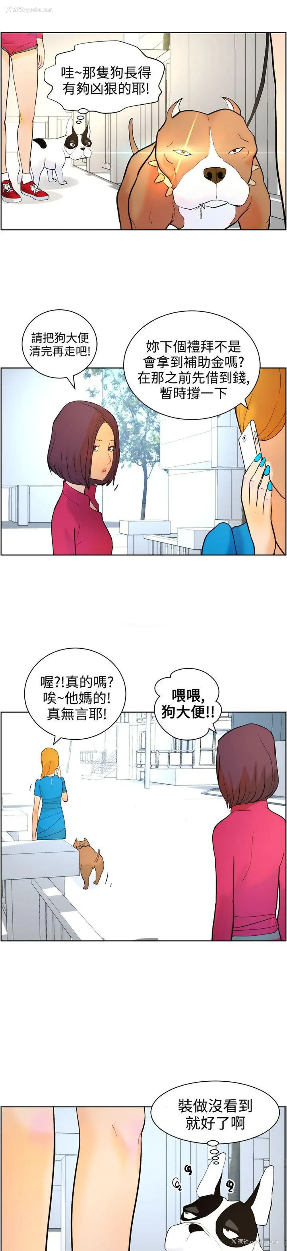 9P - 变成狗的男人