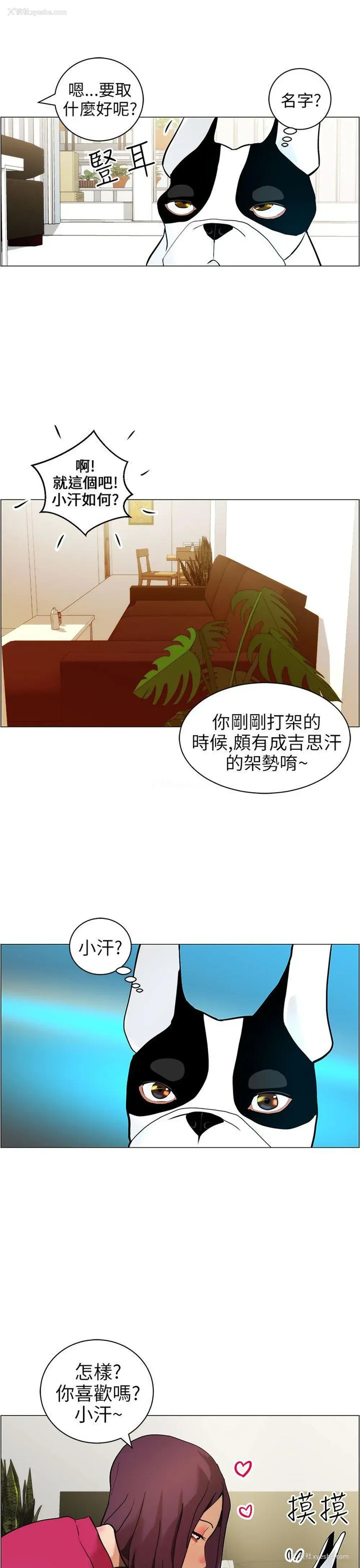 11P - 变成狗的男人