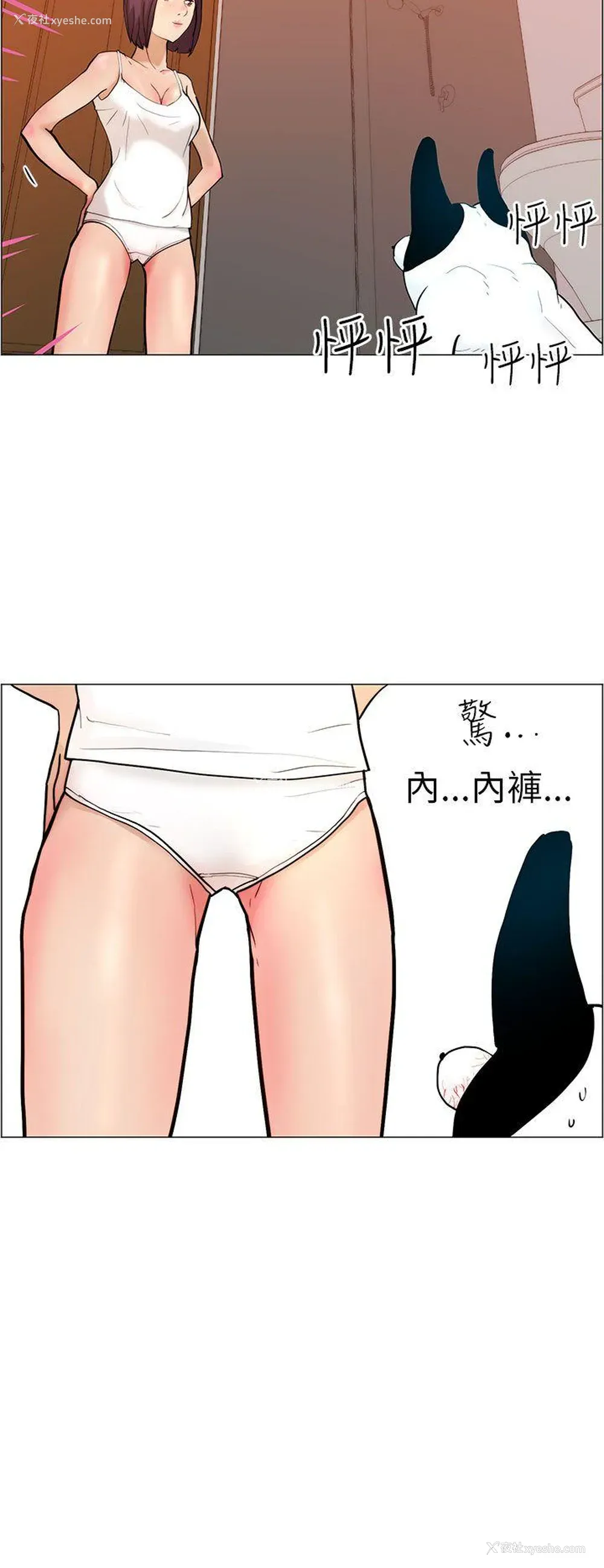 14P - 变成狗的男人
