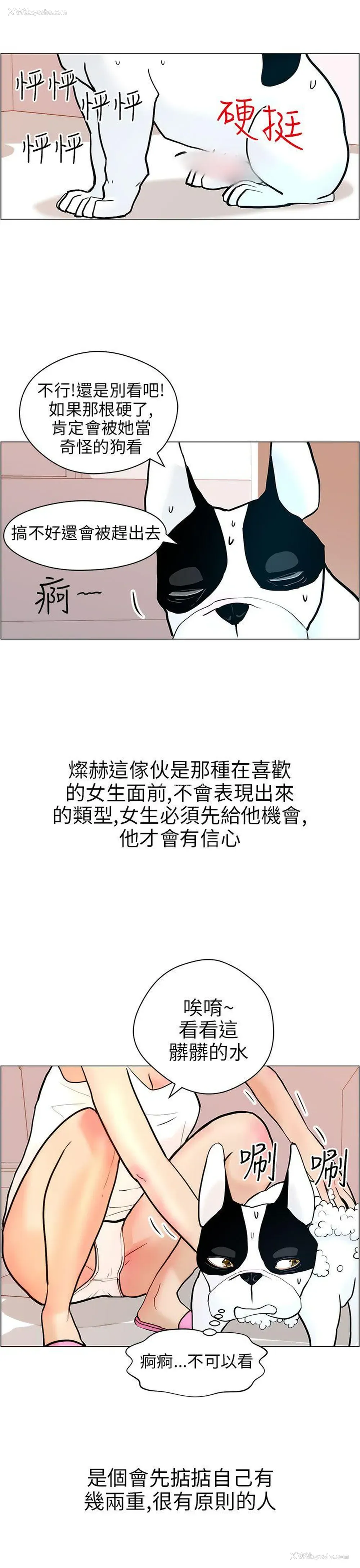 15P - 变成狗的男人