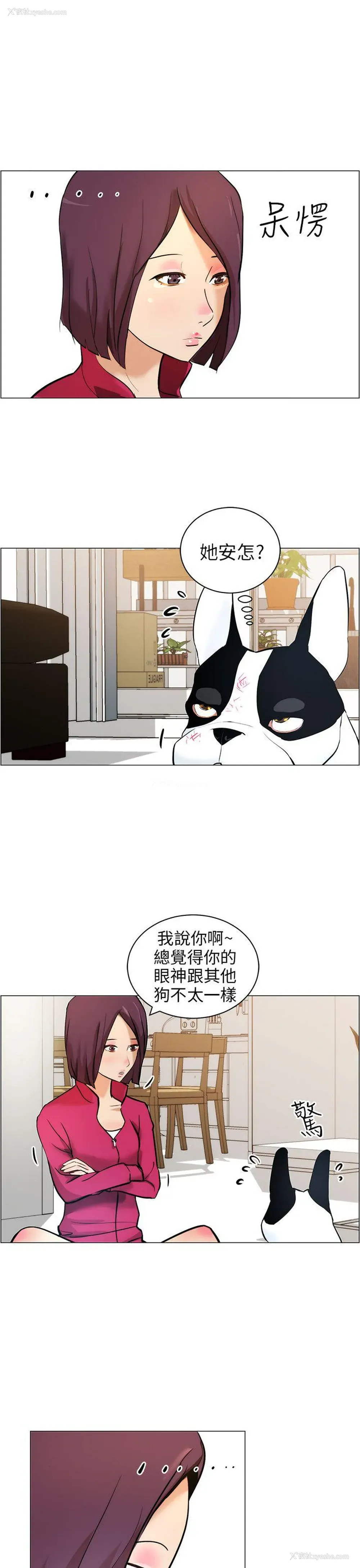7P - 变成狗的男人
