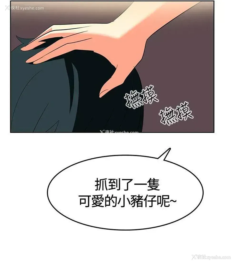 16P - 猪仔农场