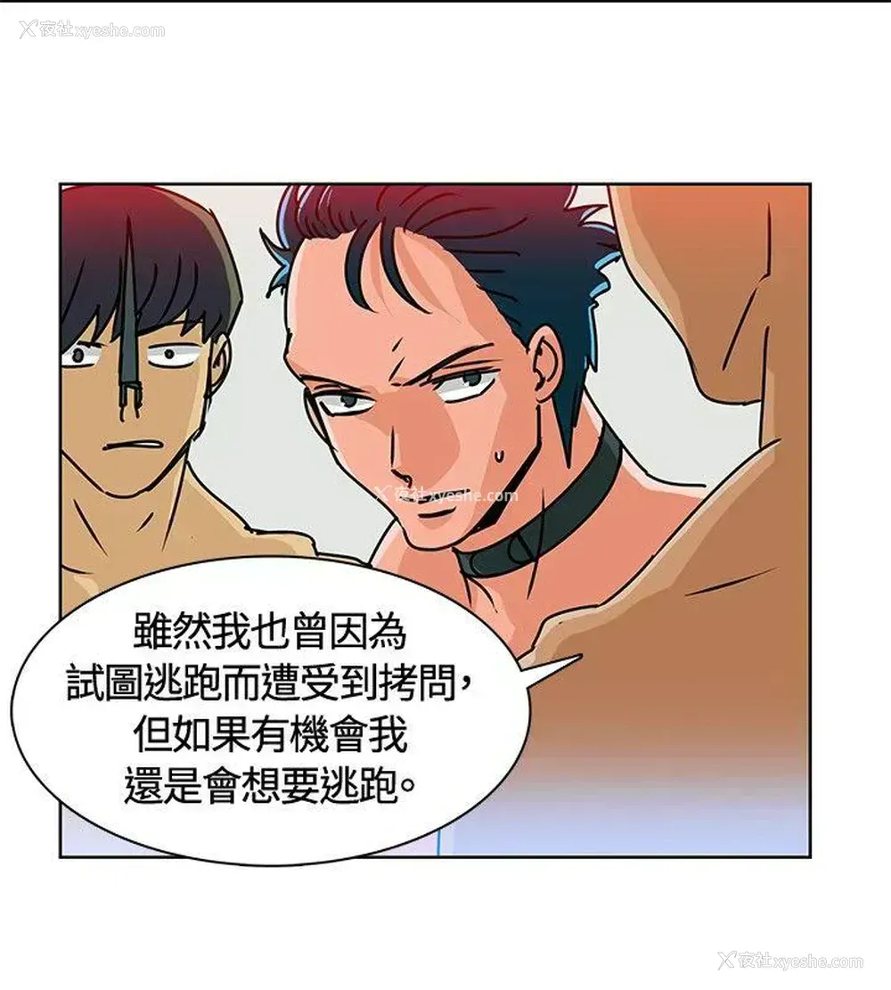 2P - 猪仔农场