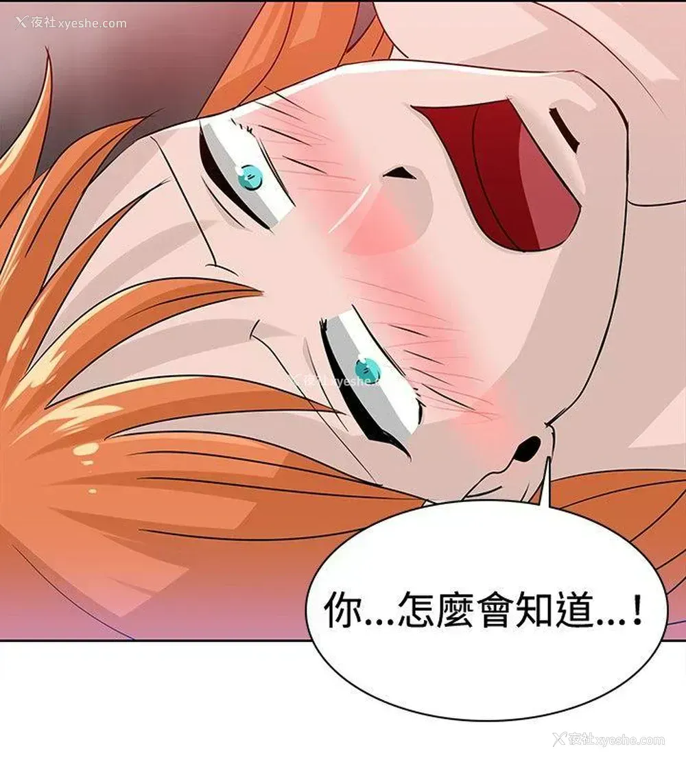4P - 猪仔农场