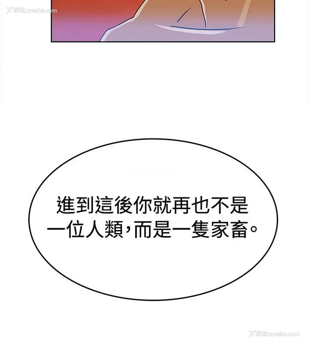 10P - 猪仔农场