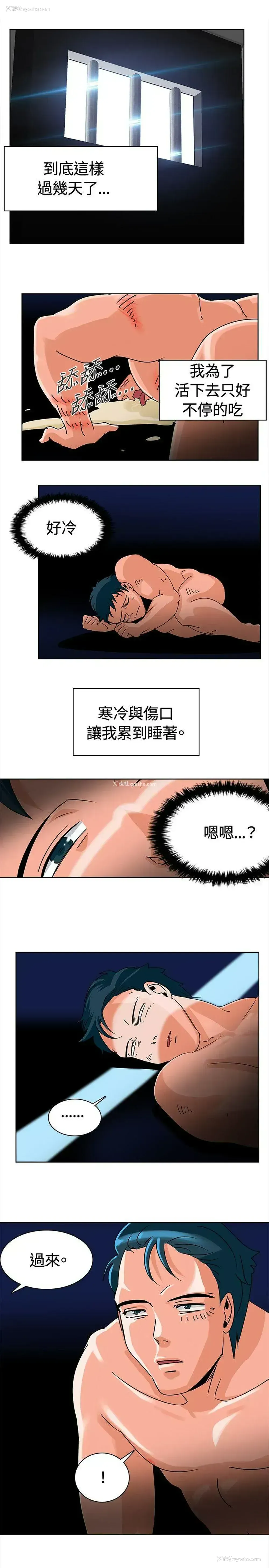 1P - 猪仔农场