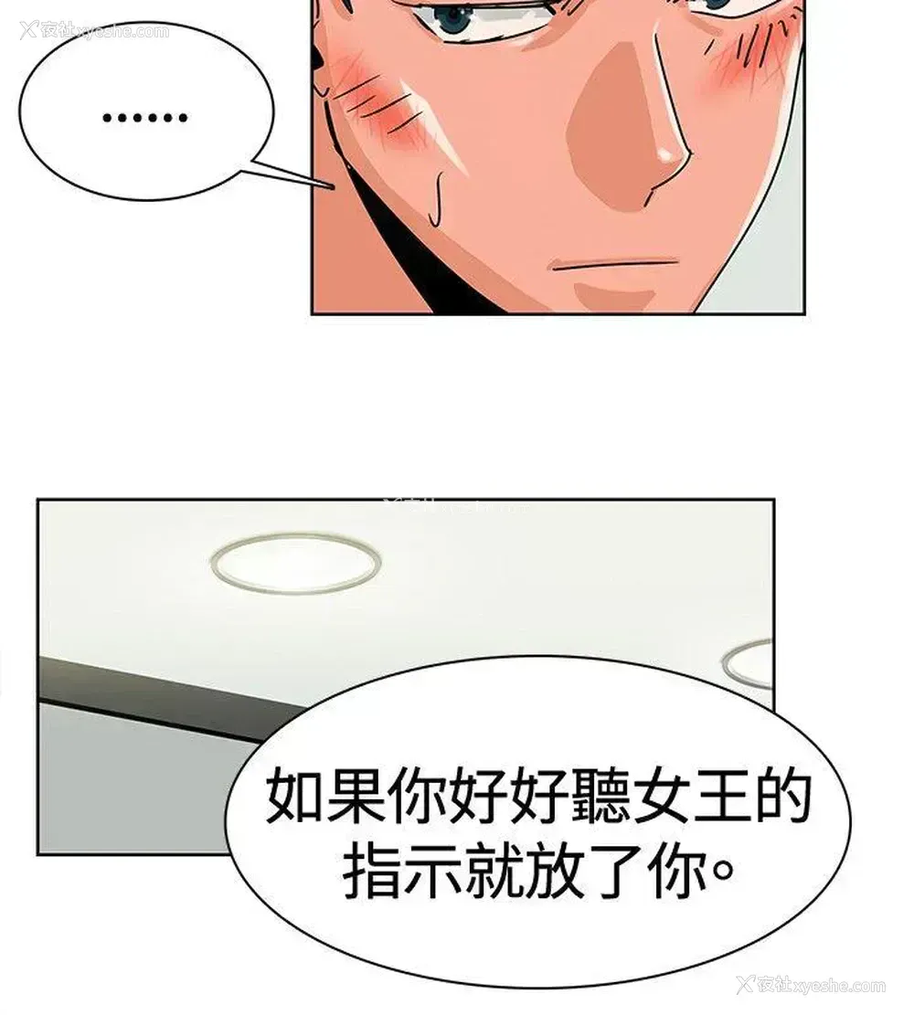 4P - 猪仔农场