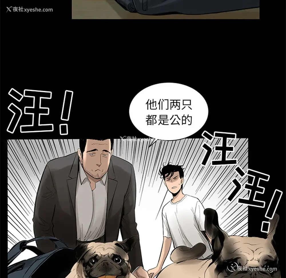 81P - 韩道修