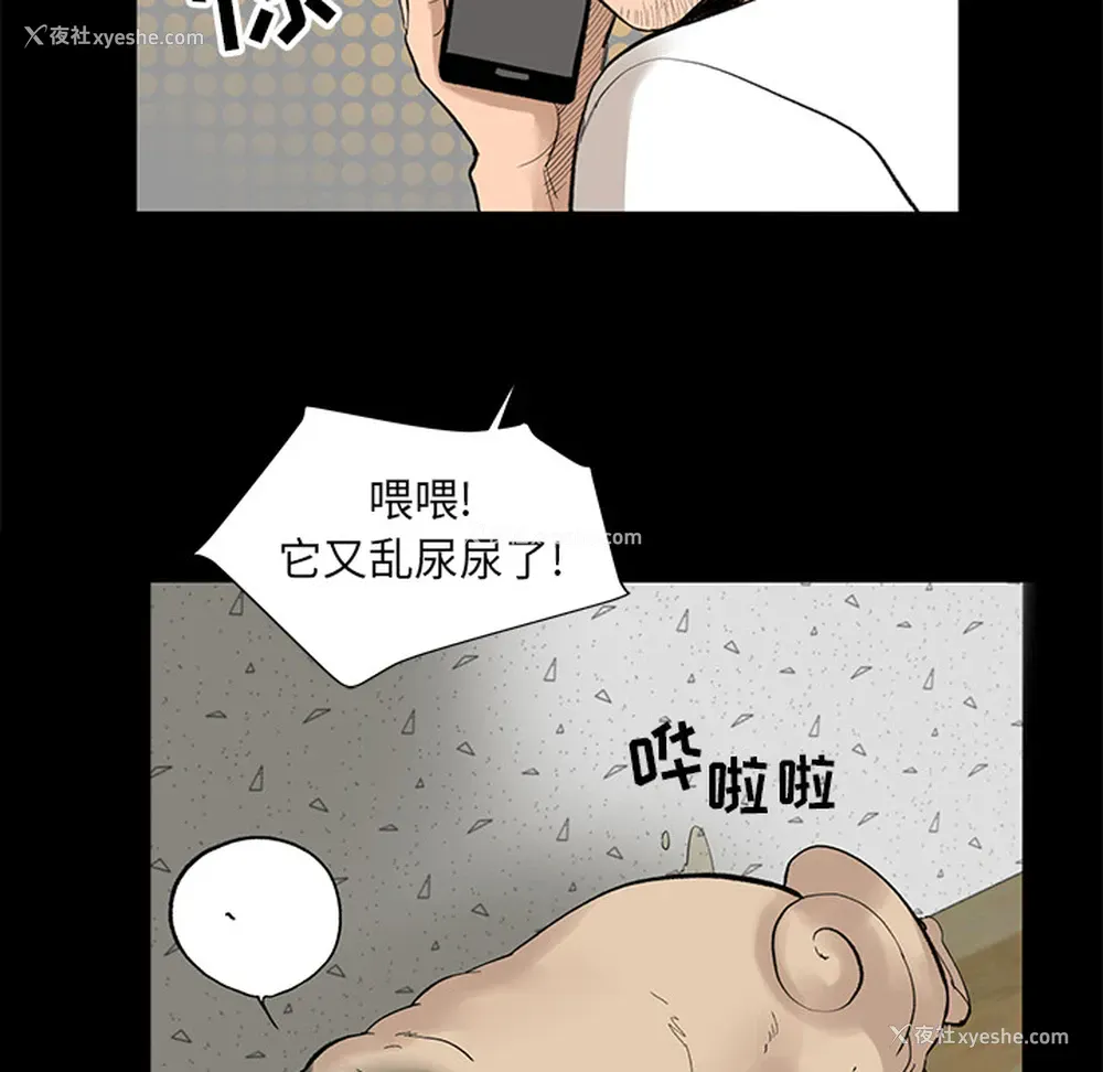 13P - 韩道修