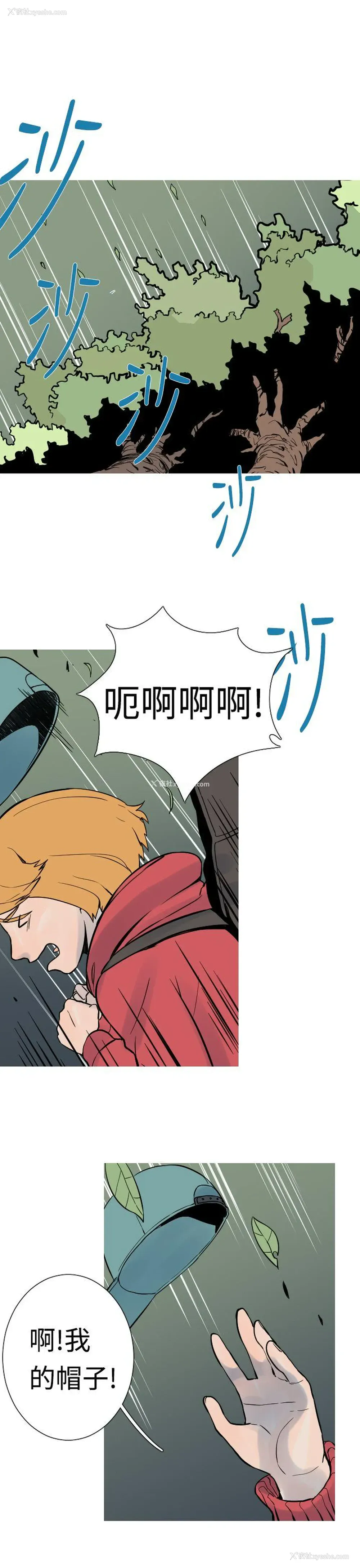 4P - 军事