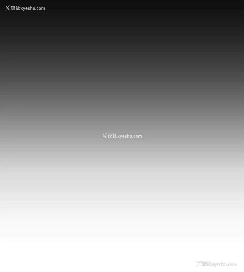 11P - 军事