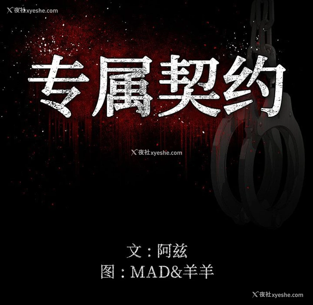 15P - 专属契约