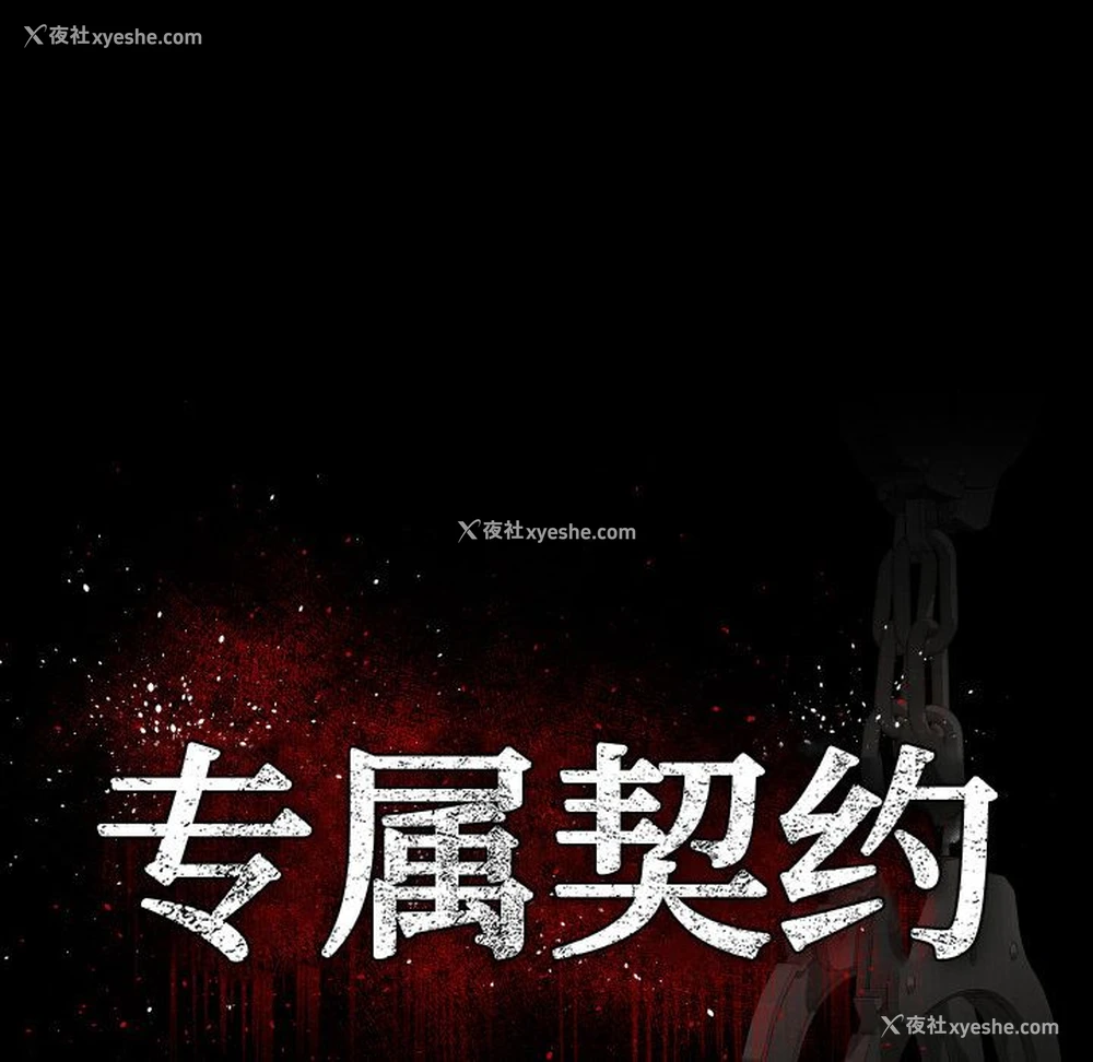 20P - 专属契约