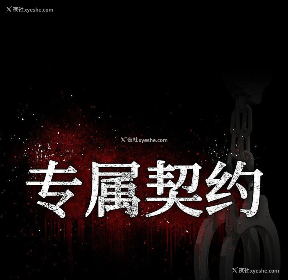 15P - 专属契约