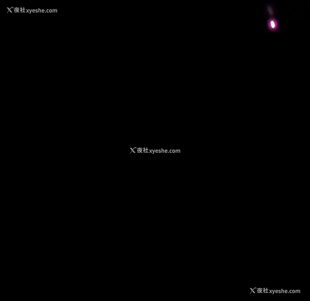 51P - 隔壁老金
